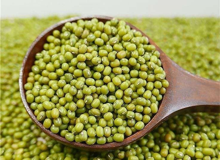 Berkas:Kcang hijau.jpg