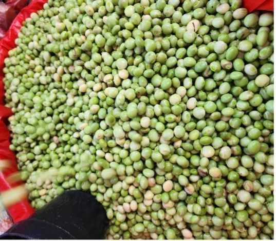 Berkas:Kacang Turis.jpg