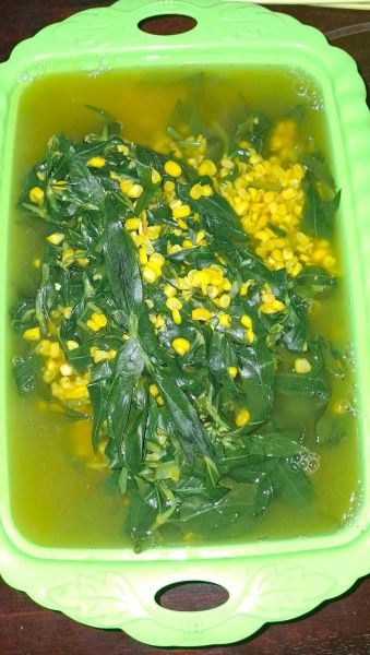 Berkas:Kaju' parapa-Nurlina.jpg