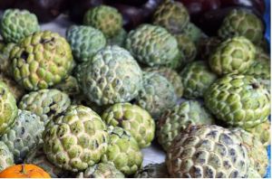 Annona atau Srikaya.jpg