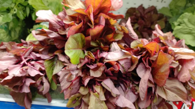 Berkas:Bayam merah.jpg