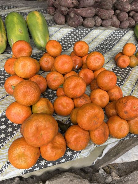 Berkas:Jeruk Keprok Soe.jpg