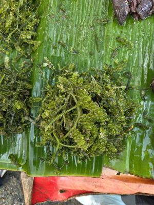 Lawi-lawi yang dijual di pasar (foto oleh Balgies Devi Fortuna)