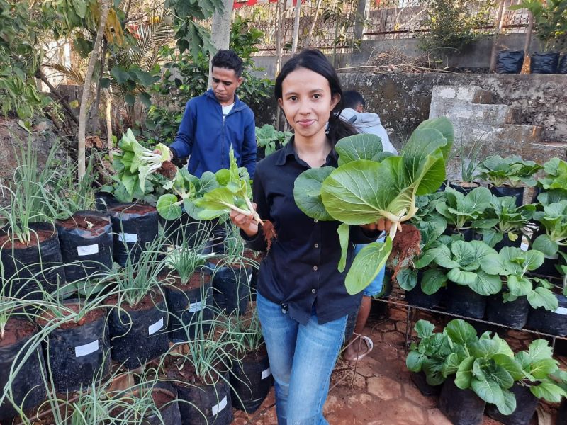 Berkas:Bertani di tengah kota.jpg