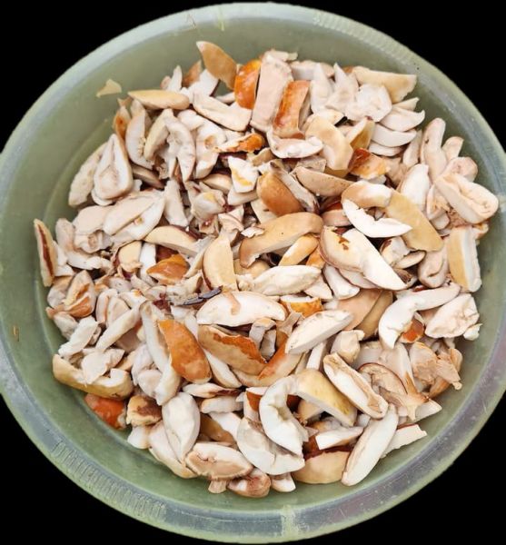 Berkas:Pangi atau Picung.jpg