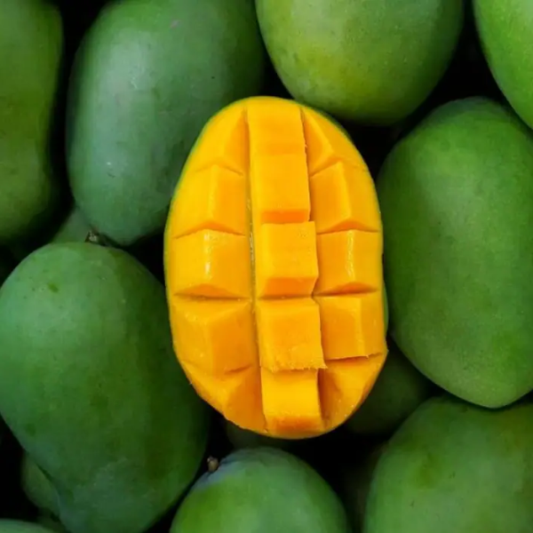 Berkas:Mangga harumanis.png