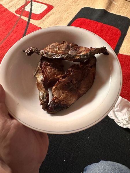 Berkas:WhatsApp Image 2026-02-07 at 19.27.47.jpg