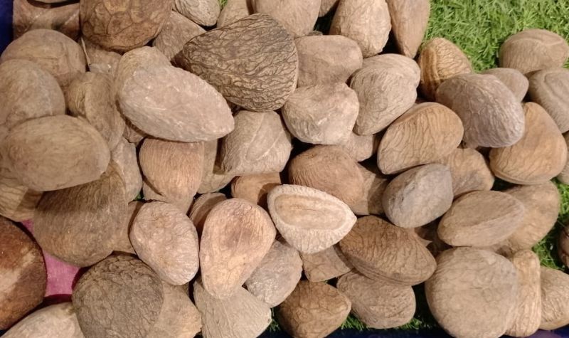 Berkas:Kluwek Irma.jpg