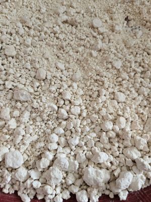 Foto Sagu Oleh Balgies Devi Fortuna