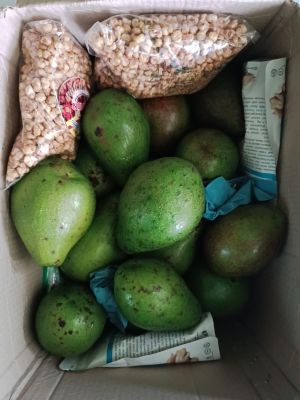 WhatsApp Image 2024-06-24 at 16.56.16 322ab2ae.jpg