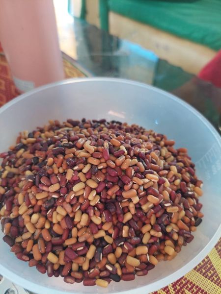 Berkas:Kacang nasi dalam timbangan.jpg