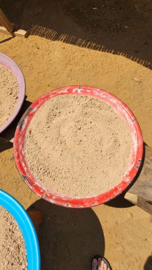 Sagu yang dijemur (2) oleh Balgies Devi Fortuna