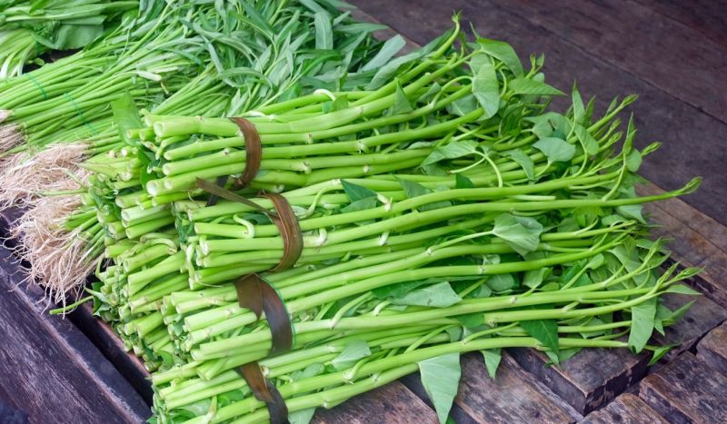 Berkas:Kangkung.jpg