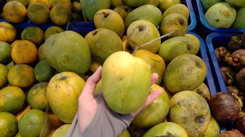 Berkas:Mangga gedong (foto- Irma R).jpg
