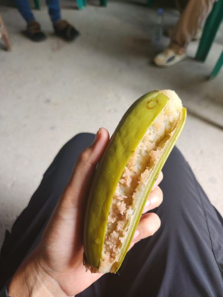 Berkas:Pisang Luan Rebus.jpg