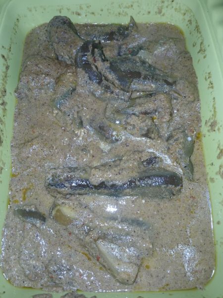 Berkas:Kambu Terung.jpg