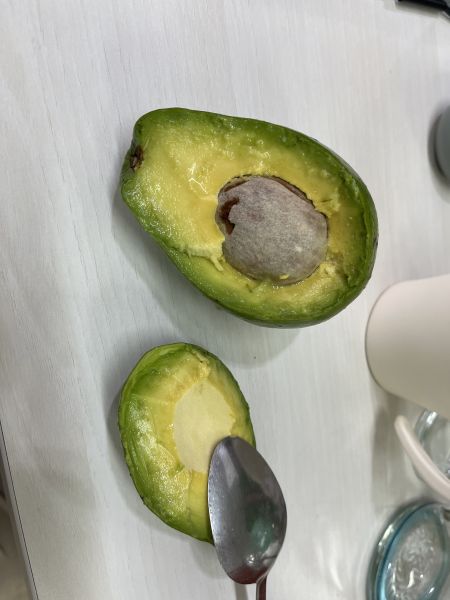 Berkas:Alpukat Soe.jpg