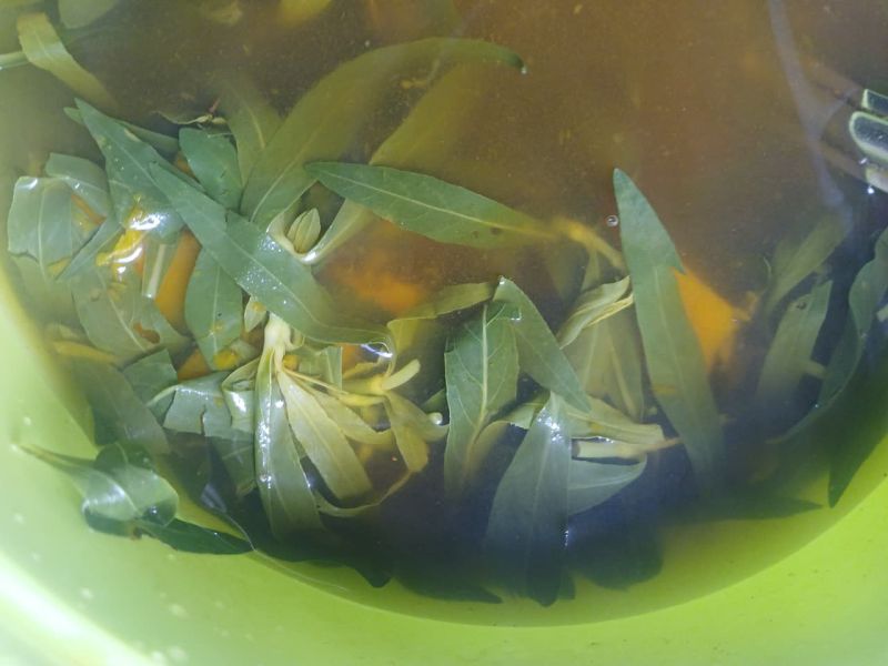 Berkas:Kaju' parapa-Andi Tenri Pada.jpg